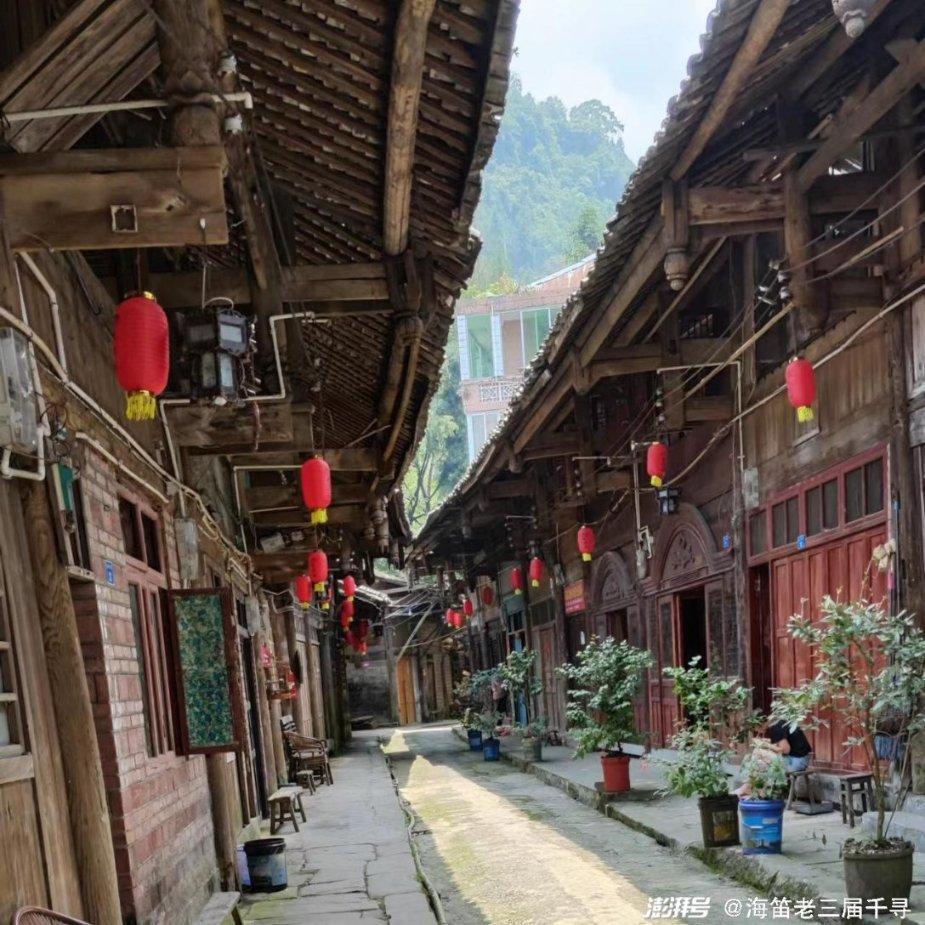 《年会不能停!》年度巅峰高口碑黑马喜剧!击中打工人的心坎里!