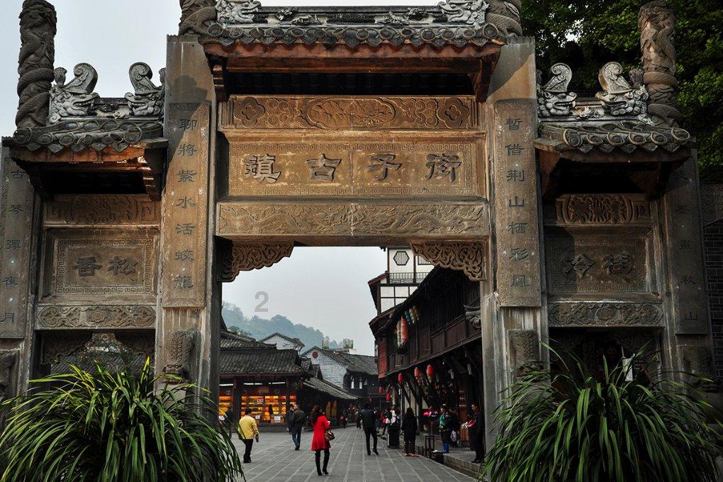 逃离金刚鹦鹉森林